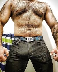 bears