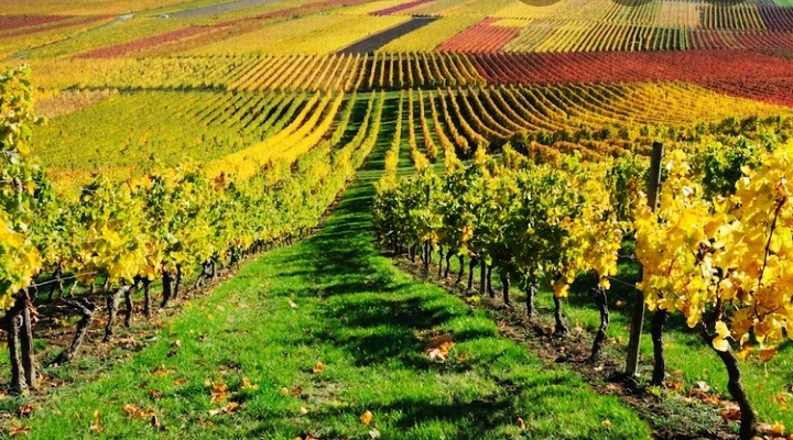 the nature is beatifullll