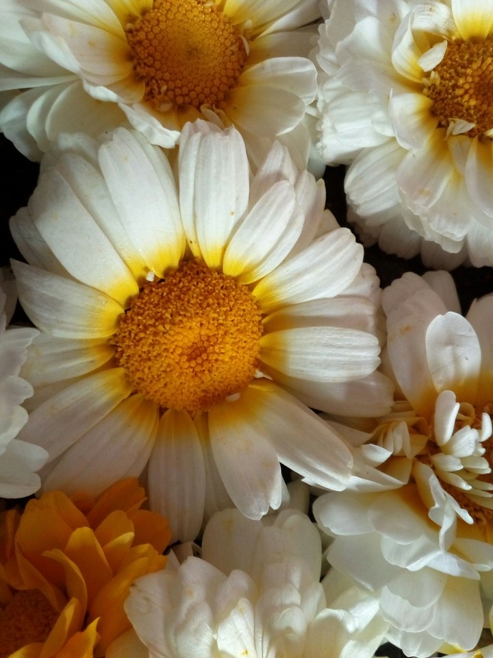 my click