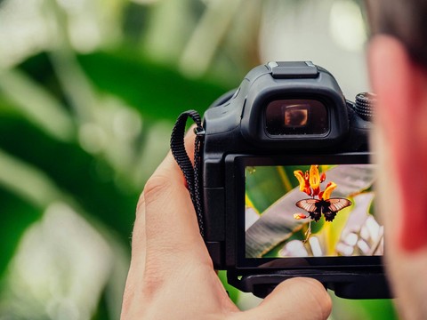 take photos