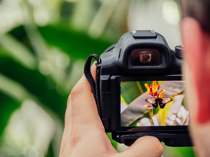 take photos
