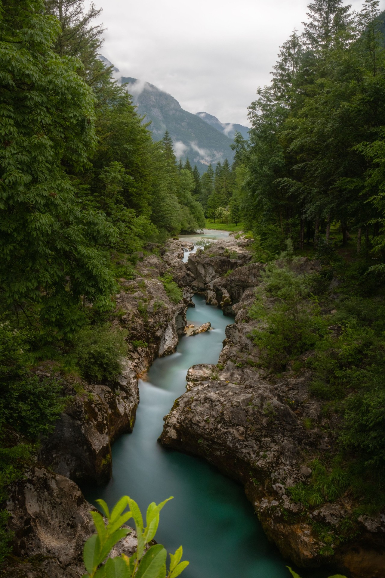 Wilderness, Bank duvar kağıtları