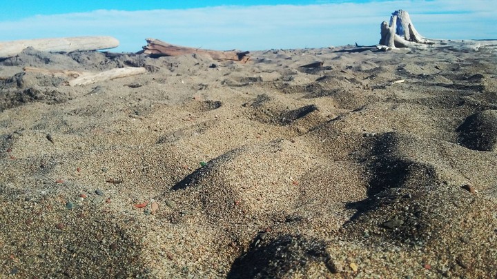 sand and the beach