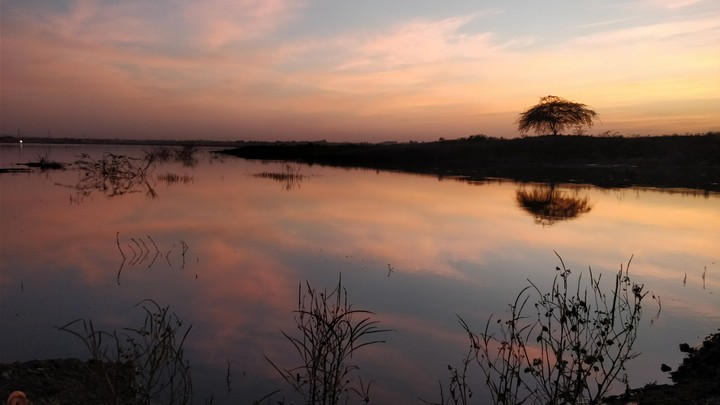 nature