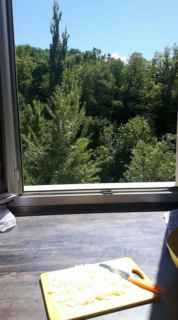 finestra sul bosco