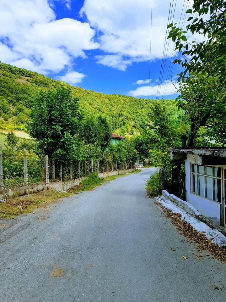 into the village