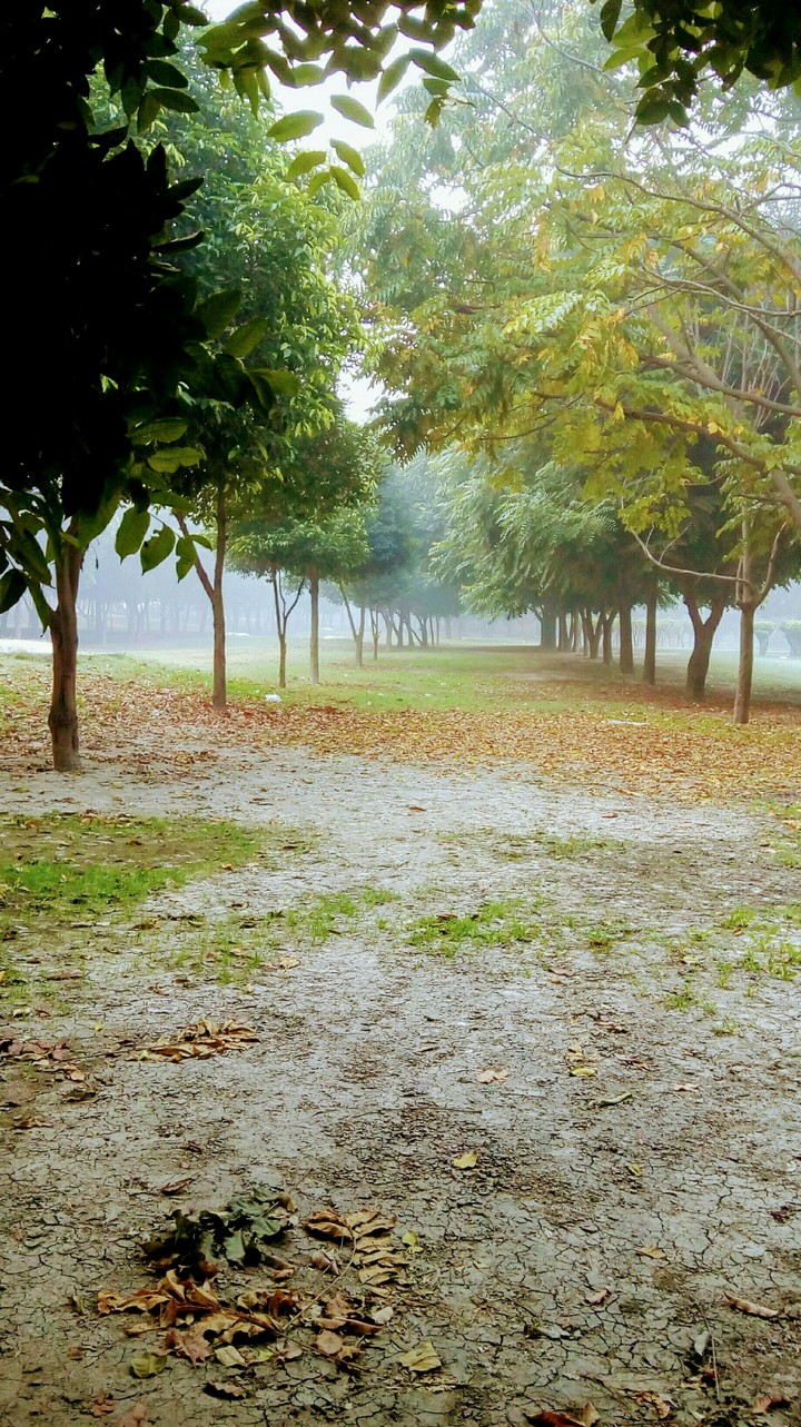 park view