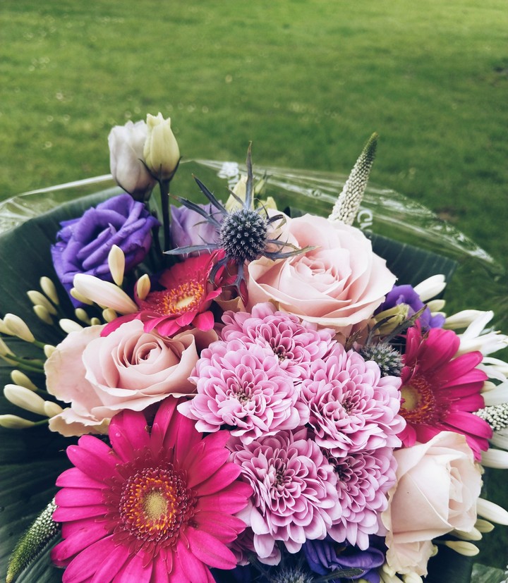 pretty flowers