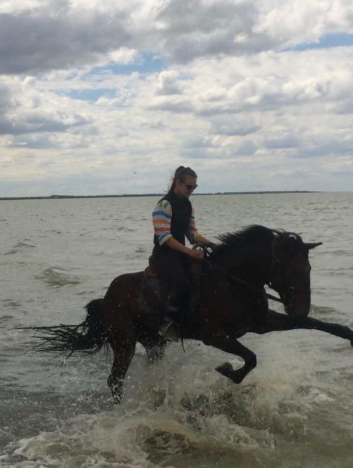 rider