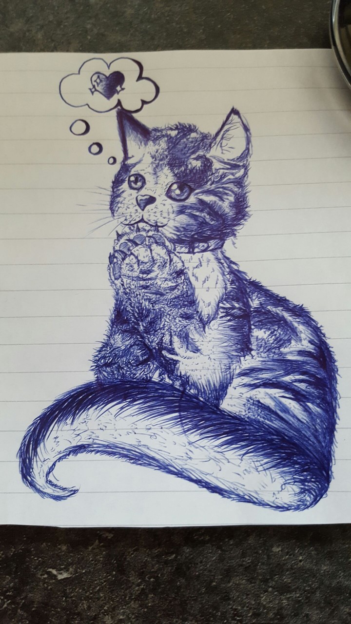 cat