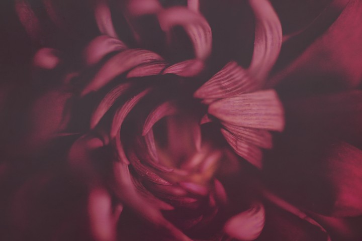 Sensual Moments