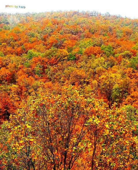 autumn 1396