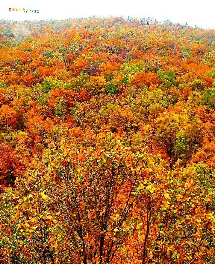 autumn 1396