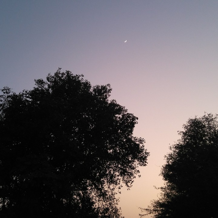 moon light