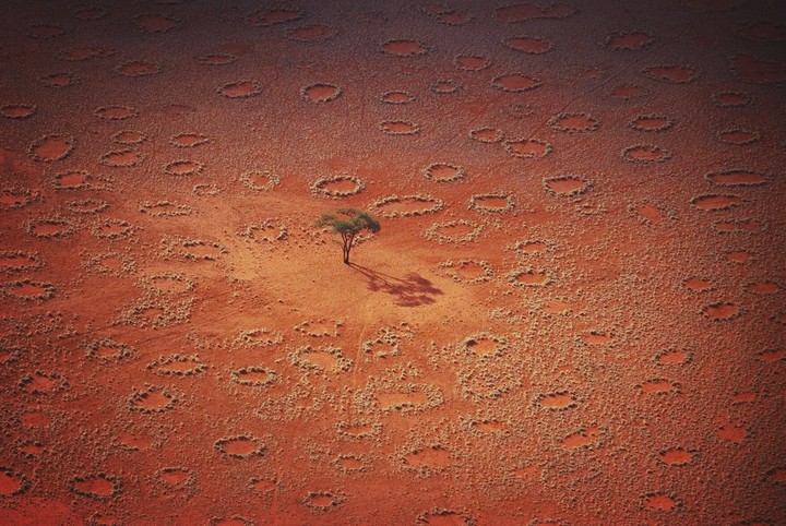 Desert