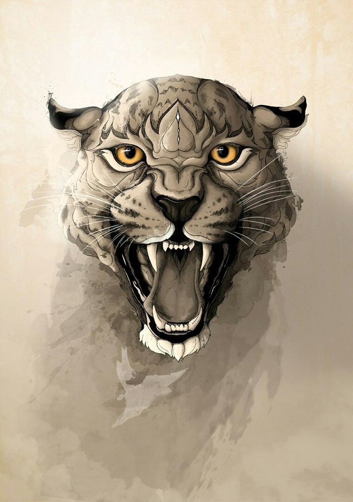 animal