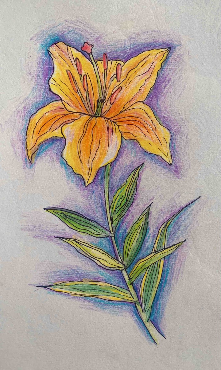pen art