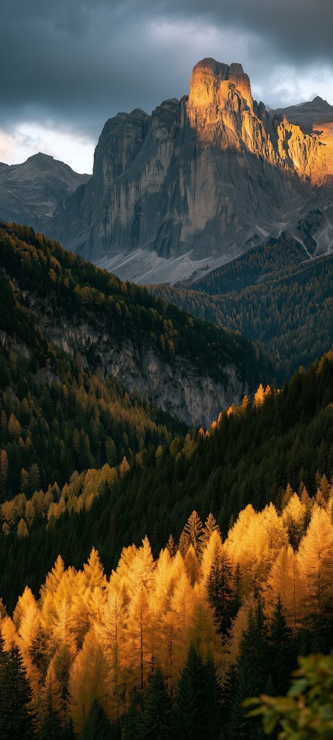 larch, slope achtergronden