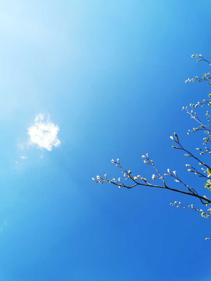 Blue sky.