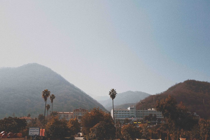 mountain and palms trees ✨