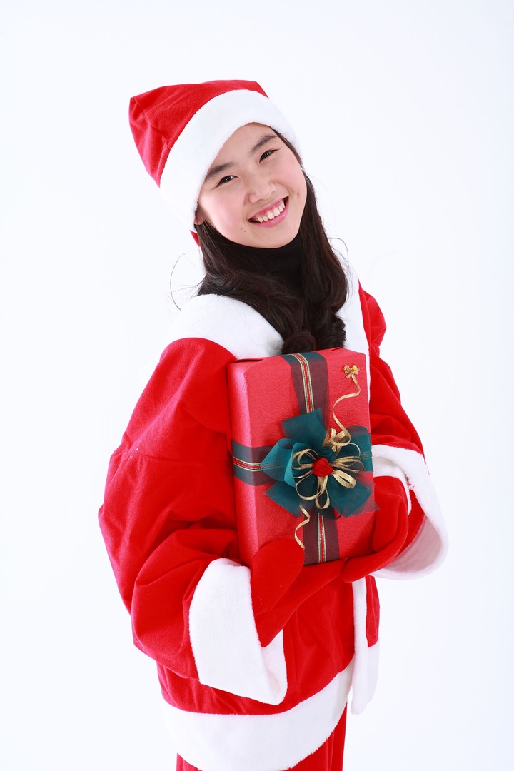 Christmas Costume