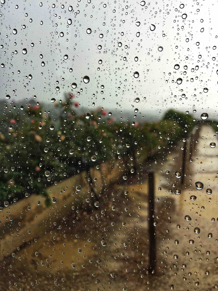 Rainy
