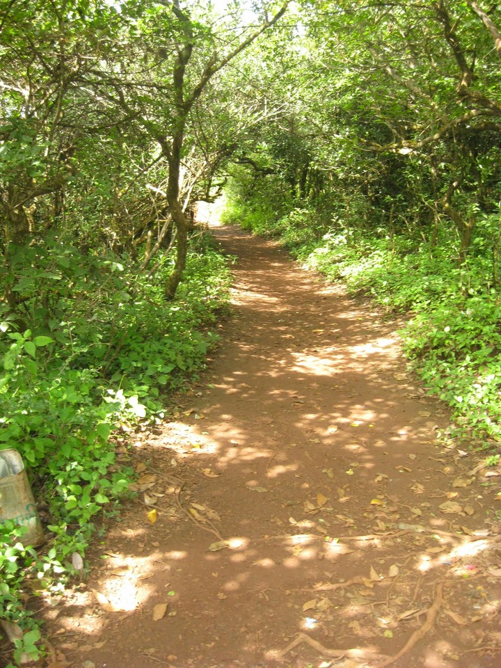a walk to remember....