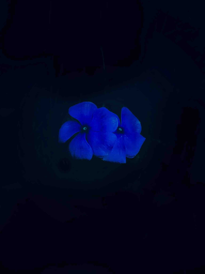 blue