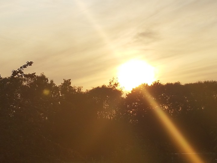 Sonne vernebelt