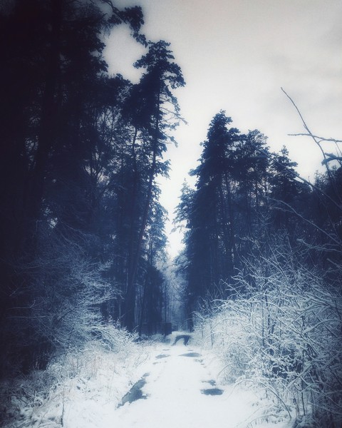 winter in Tychy