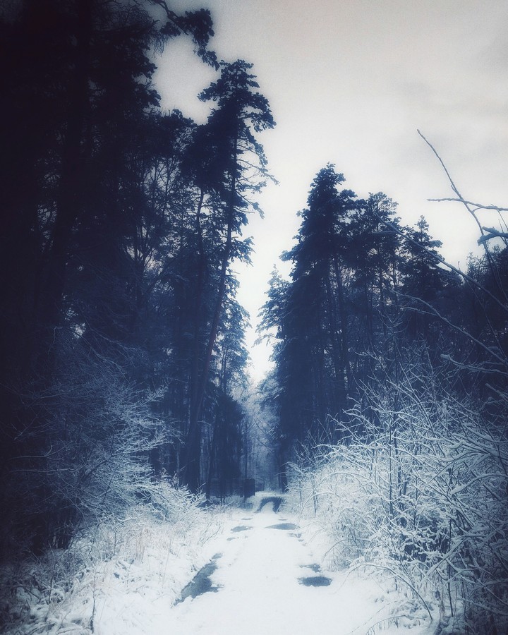 winter in Tychy
