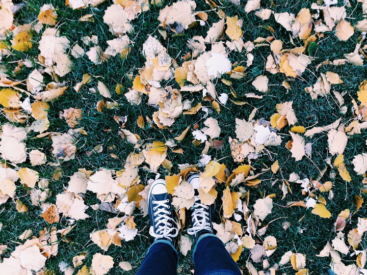 fall