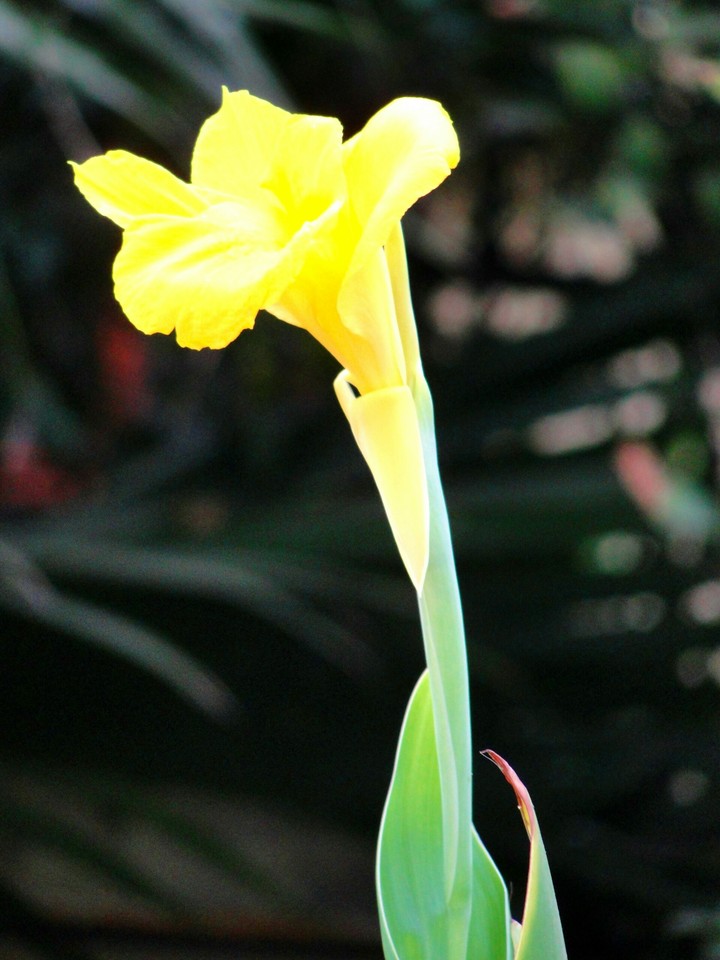 go Green..