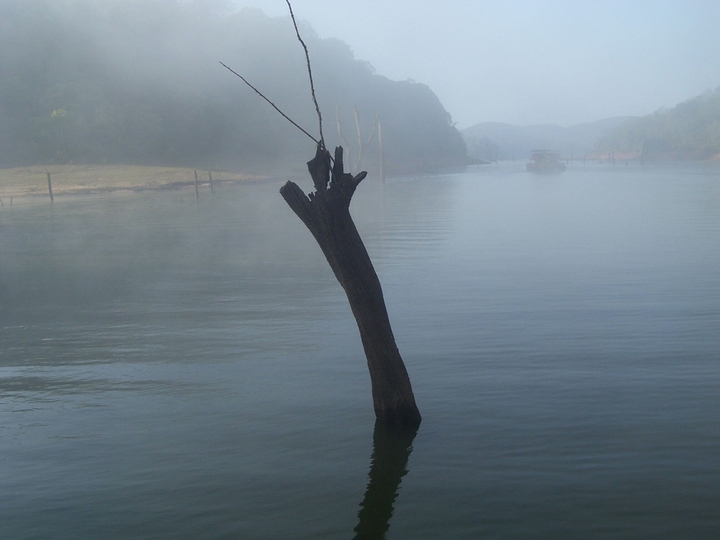 @periyar,kerala....early foggy morning