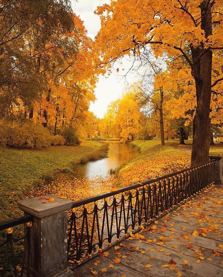 #autumn