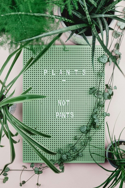 Green Plants