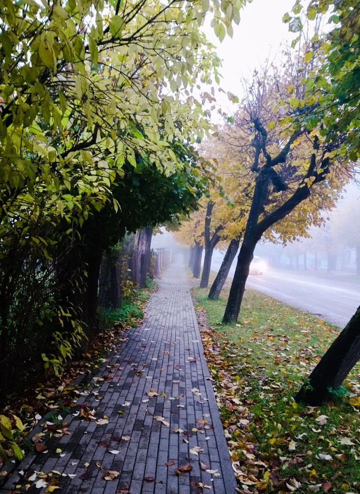 Autumn