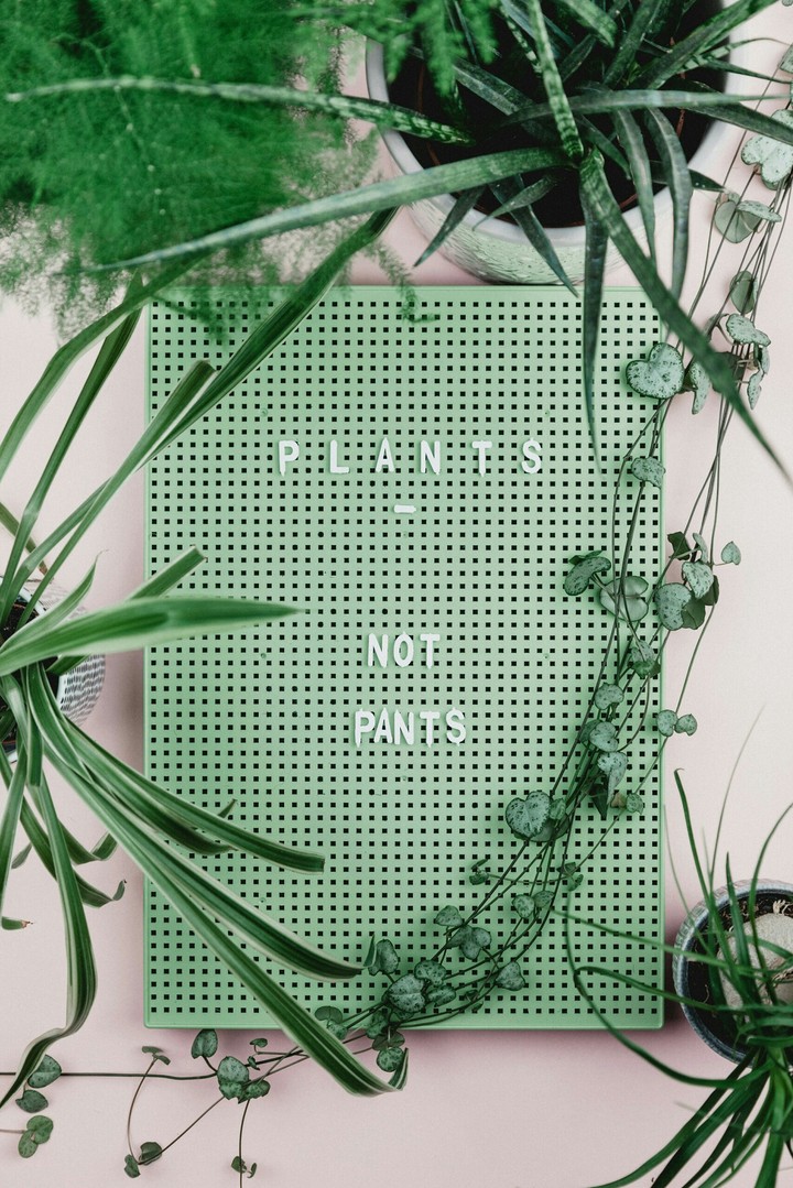 Green Plants