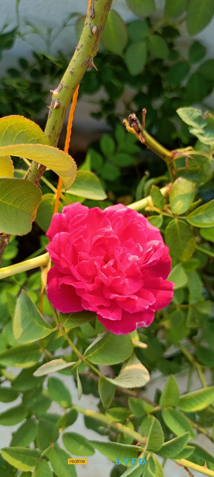 beautiful nature