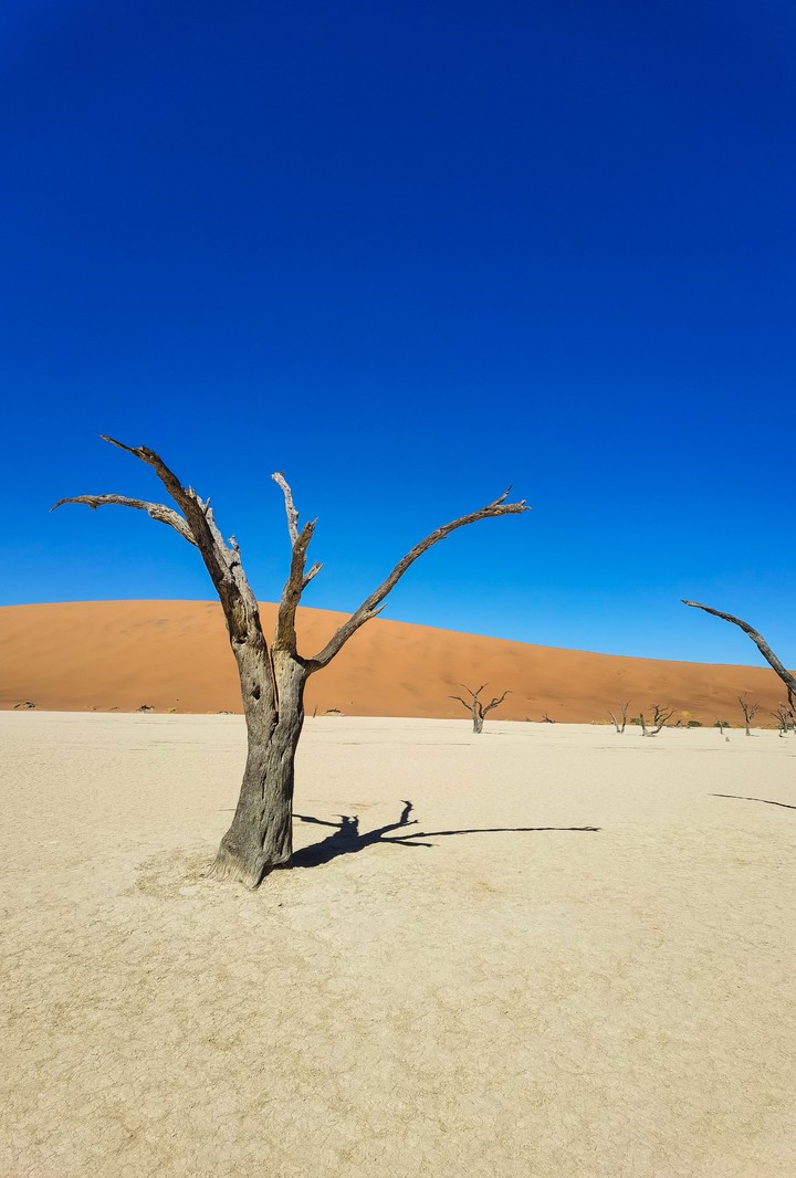 Deadvlei, Sossusvlei, Namibia