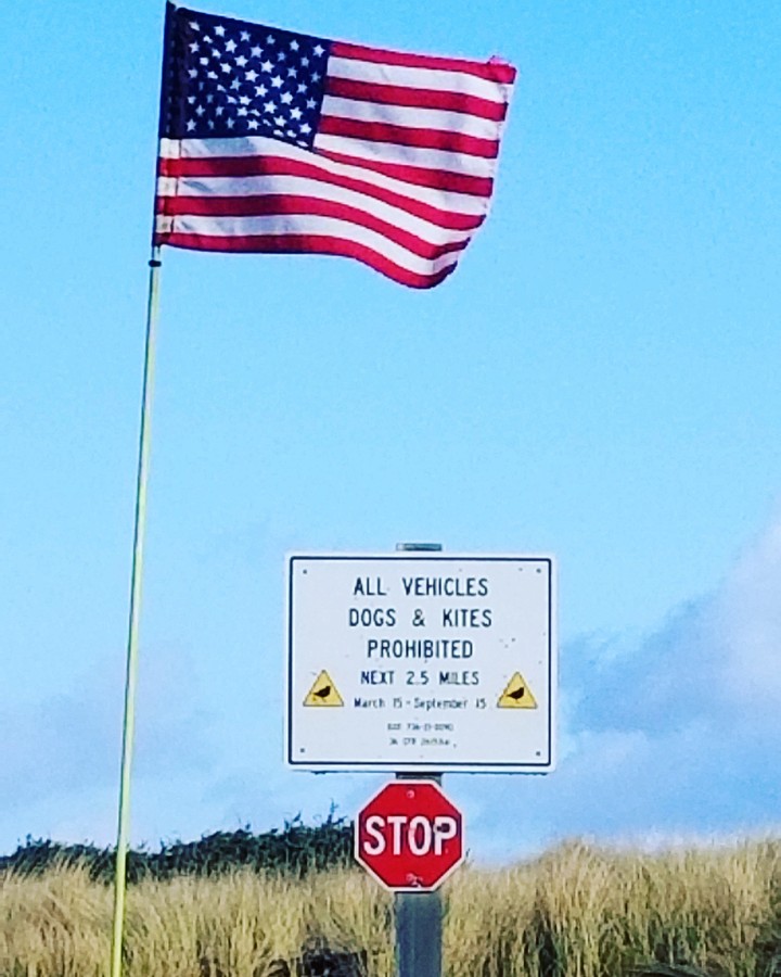 north Jetty of Coos Bay Oregon