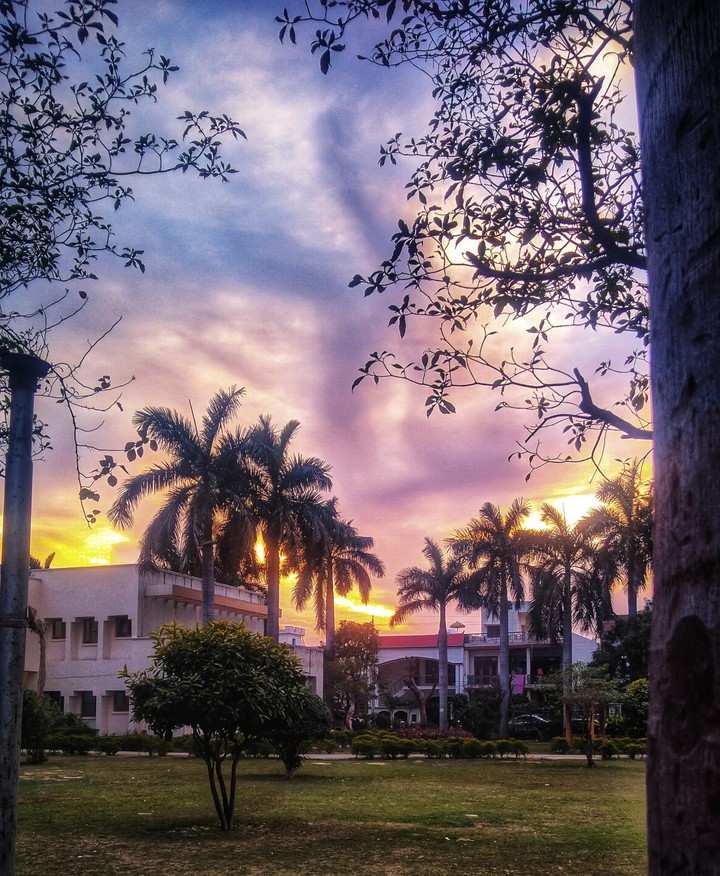 Shades of the sky