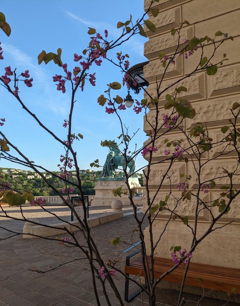 fonds d'écran Building, flower