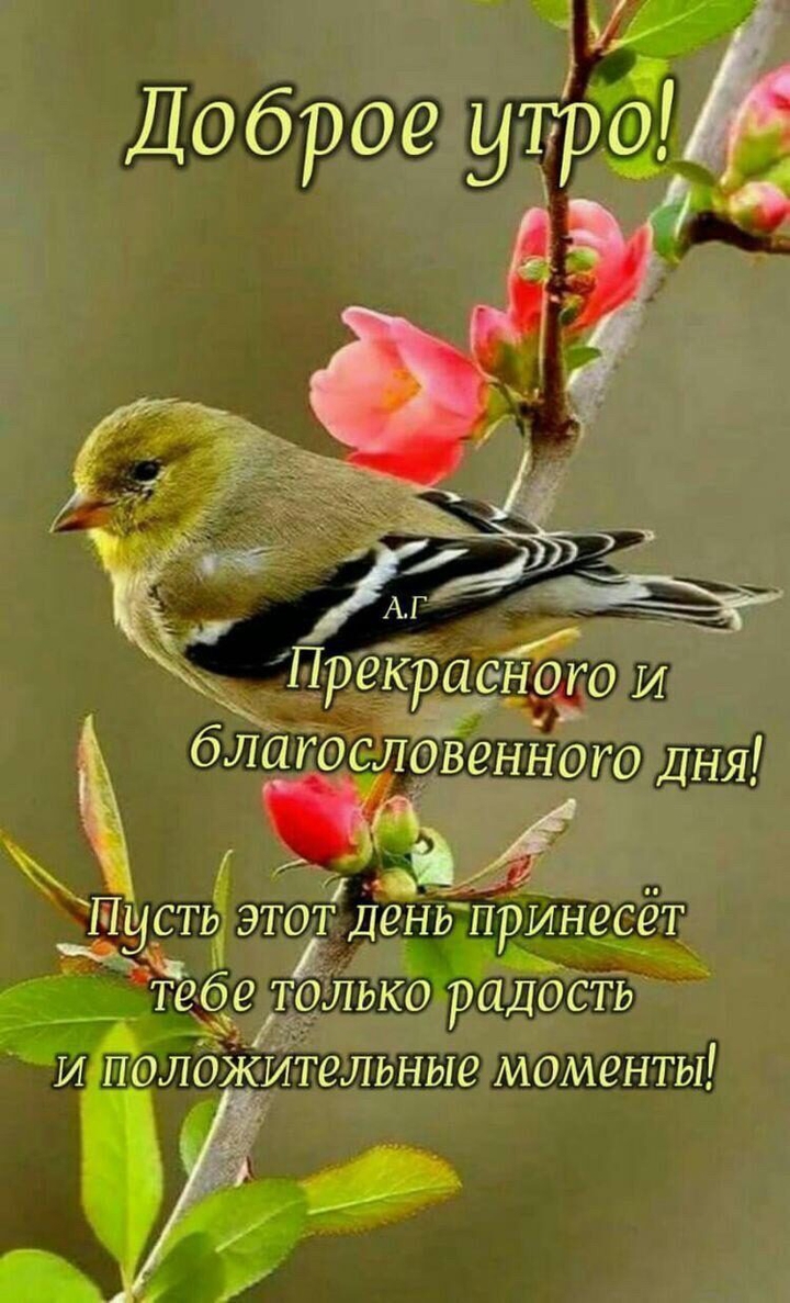 новый день!
