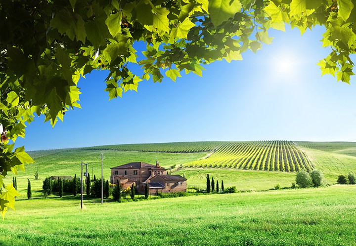 Fazenda Toscana