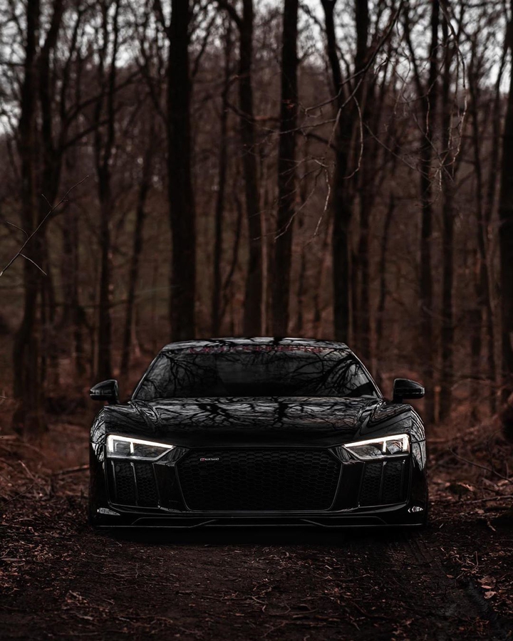 FOREST BEAUTY