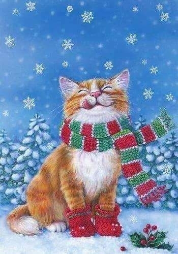 Christmas cat