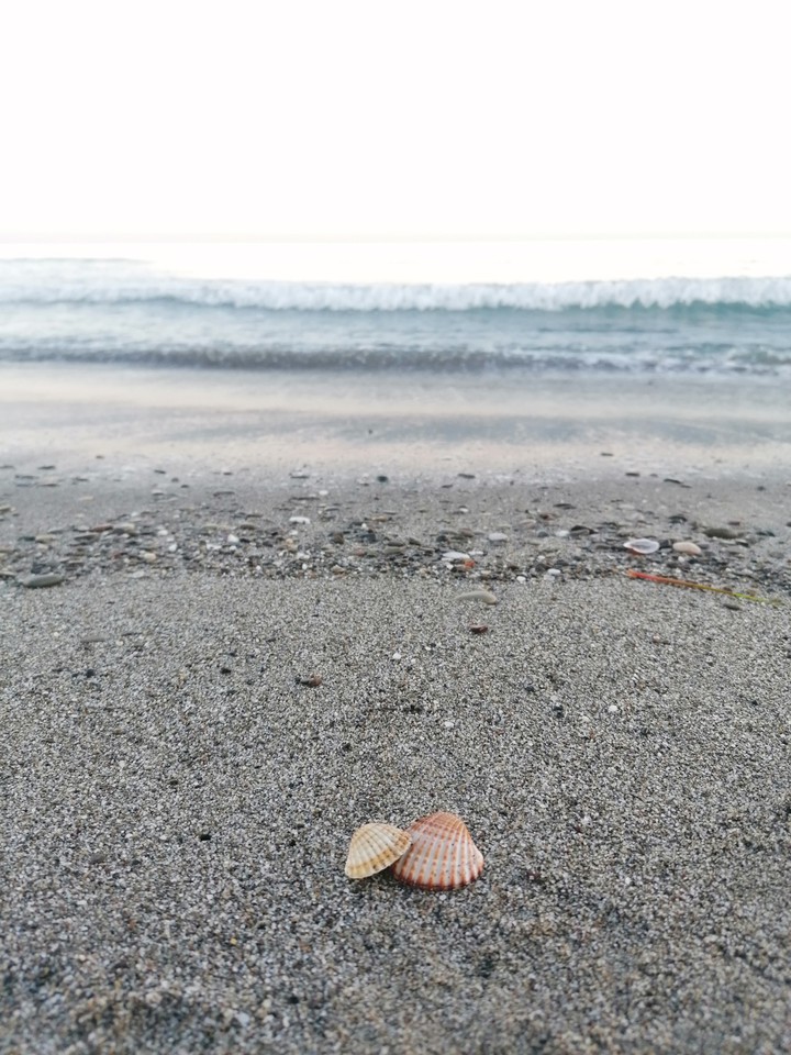 Sea