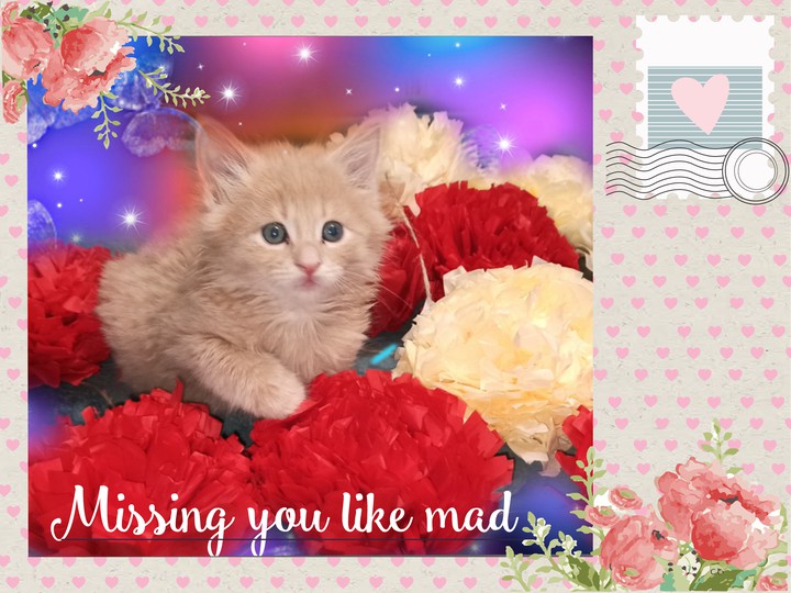 cute letter.