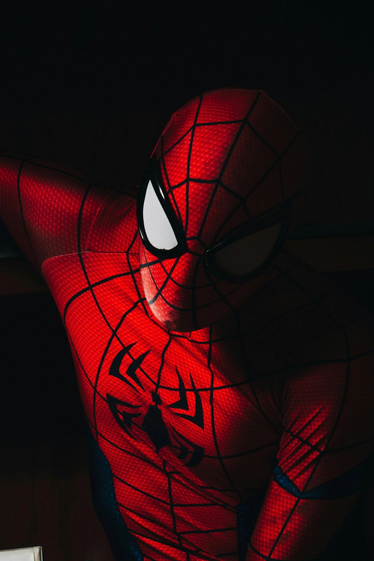 sfondi animation, Spider-Man